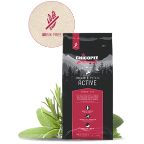  Active Salmon & Potato 12 kg - Chicopee Holistic Nature Line