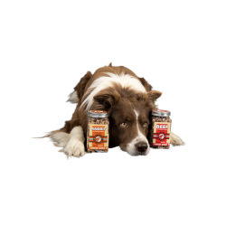 Snack Goose Liver - 120g