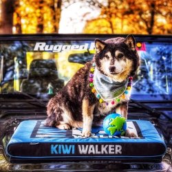 Hundemadras - KIWI WALKER - PINK