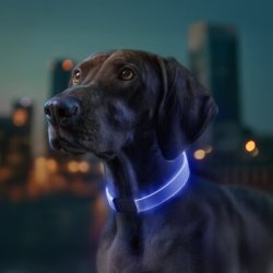 Lyshalsbnd - 4 farvemuligheder