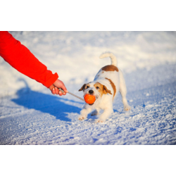 Foam bolde med antislip i snoren - LIKER