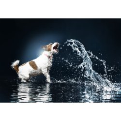 Max &amp; Molly LED lygte