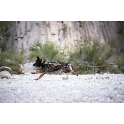 Freemotion Non-stop Dogwear Working Dog sele