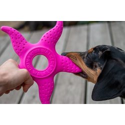 Octopus &amp; Starfish grn 