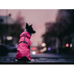 Paikka Refleks regndkken Hot Pink