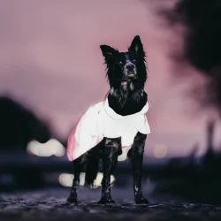 Paikka Refleks regndkken Hot Pink