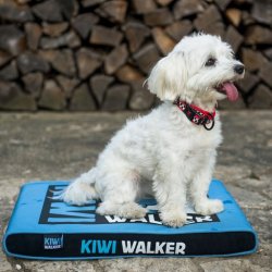 Hundemadras - KIWI WALKER - PINK
