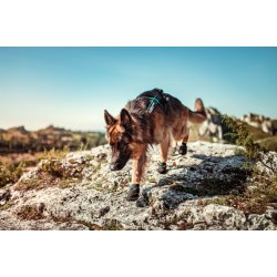 Non-stop booties - 4 pak sokker