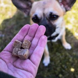 Snack Goose Liver - 120g