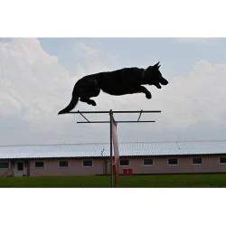 Afstands stnger til flugt spring