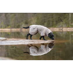 Non-stop T�rred�kken  