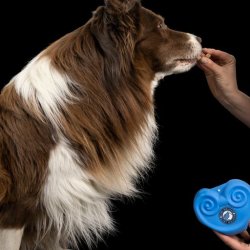 Godbidstaske KIWI WALKER