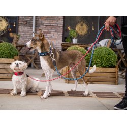 UDGET Halsbnd - Bl- Dog Copenhagen