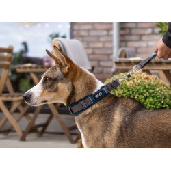 UDGET Halsbnd - Bl- Dog Copenhagen