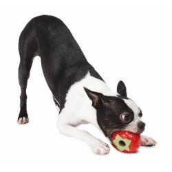 Orbee Tuff Strawberry